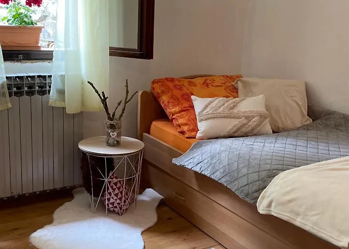 Brvnara Sanmari_forest